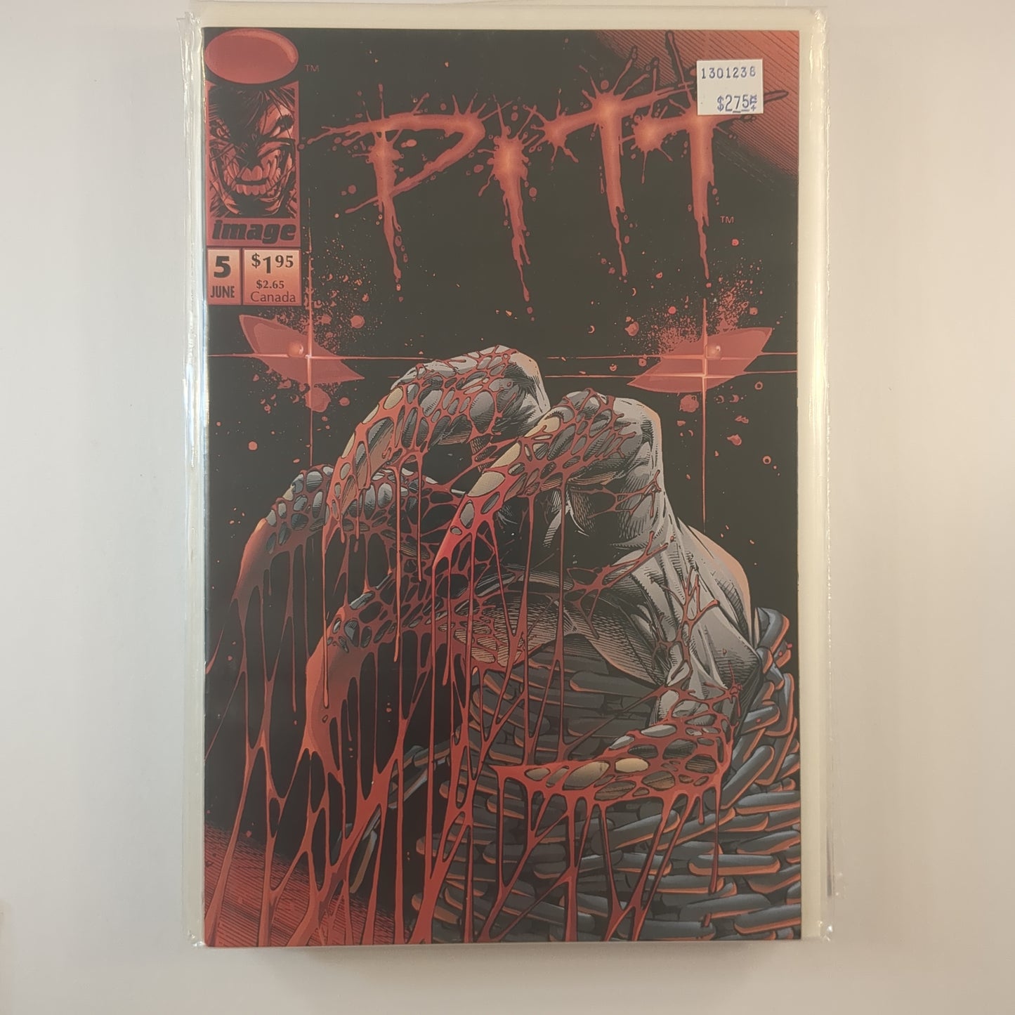 Pitt (1993)
