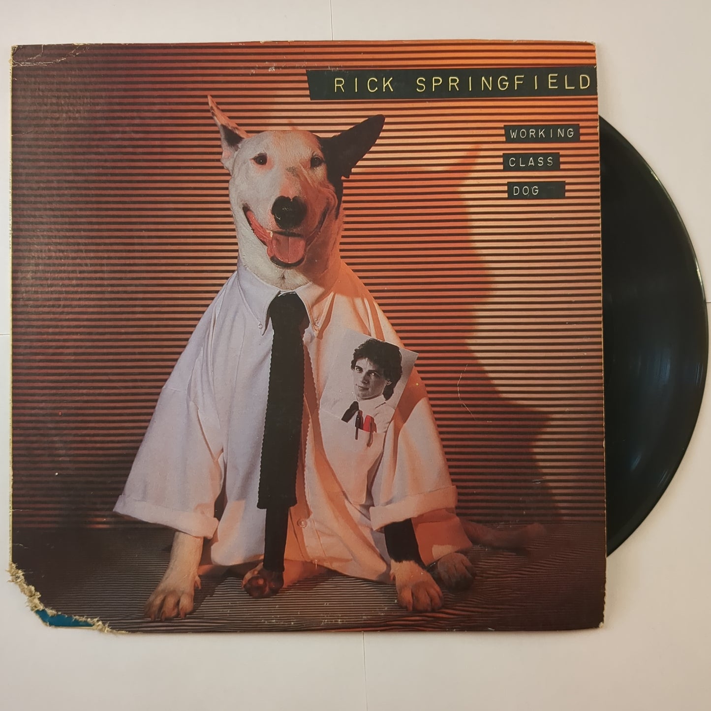 Rick Springfield - 'Working Class Dog'