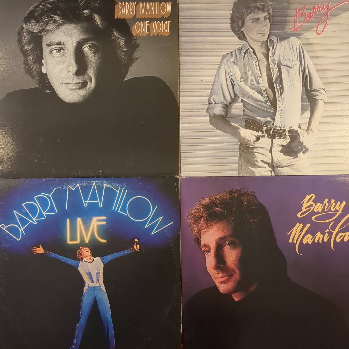 Very Barry Vinyl Bundle