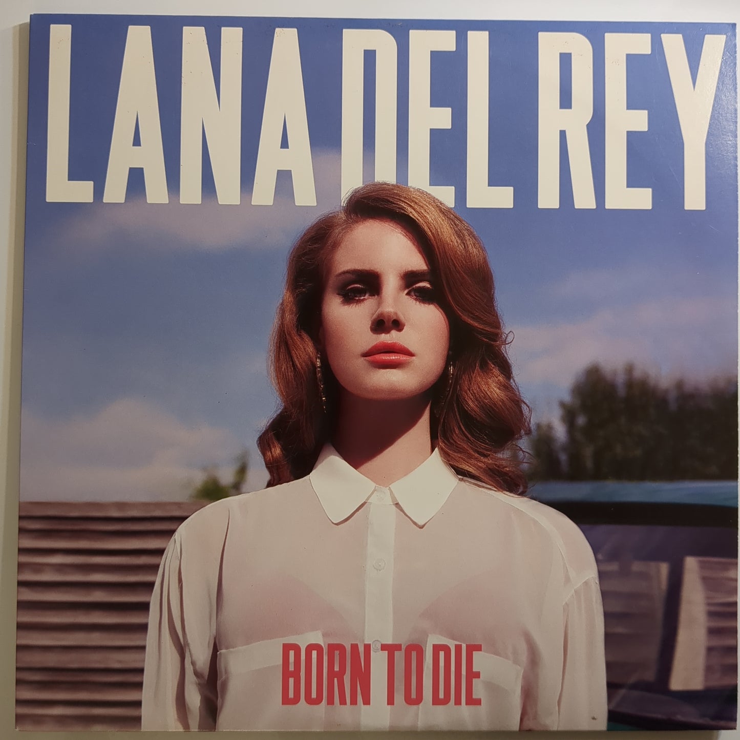 Lana Del Rey - 'Born To Die'