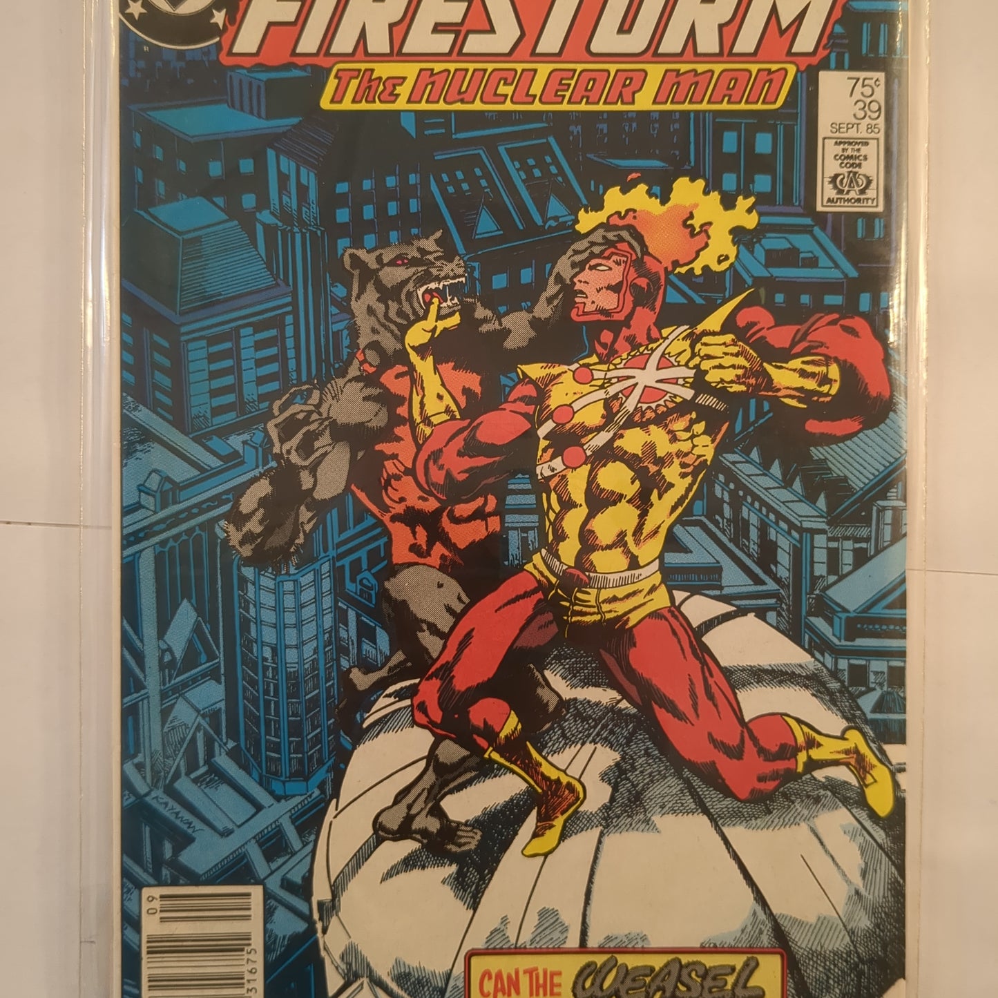 Firestorm (1982)